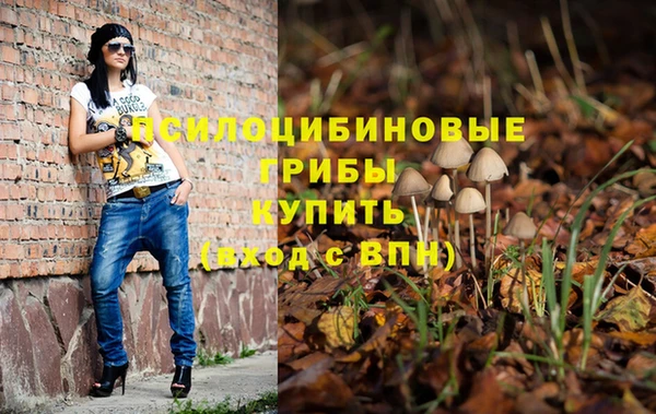 первитин Алексин