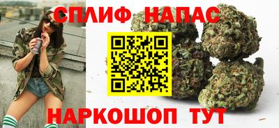 гидра Ярцево