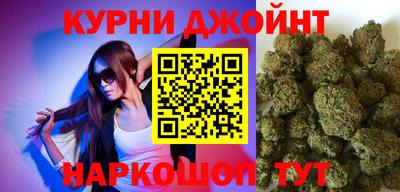 гидра Ярцево