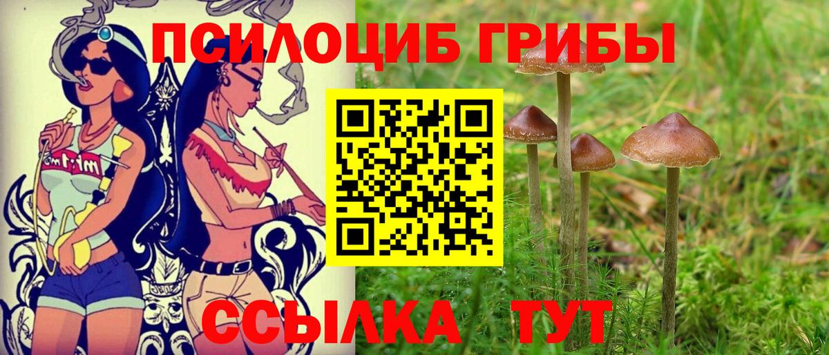 Псилоцибиновые грибы прущие грибы Новочеркасск