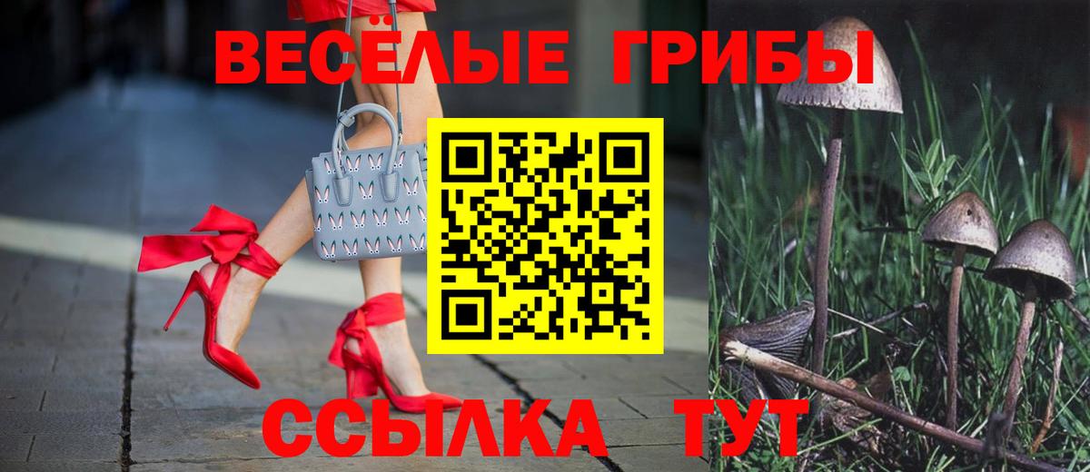 Новочеркасск  Галлюциногенные грибы GOLDEN TEACHER  Псилоцибиновые грибы ЛСД  Вход с VPN 
