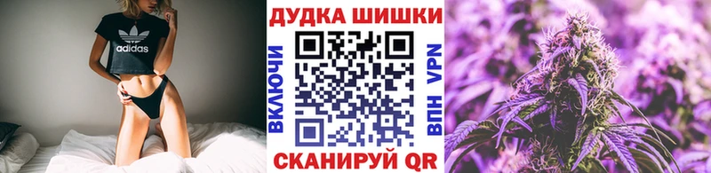 Каннабис сатива Новочеркасск